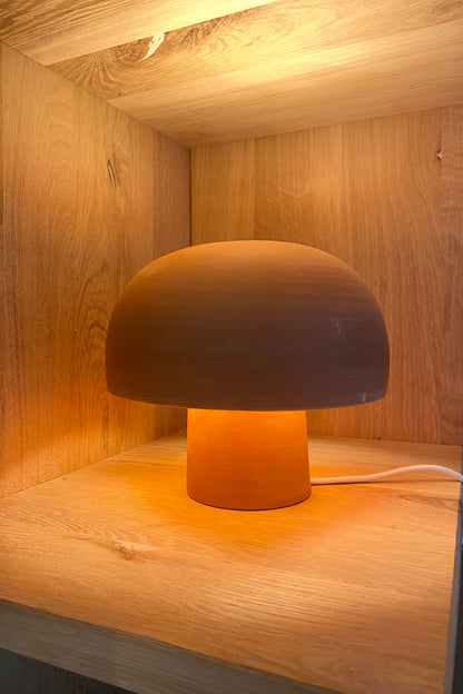 Terra lamp