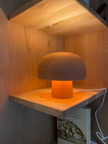 Terra lamp